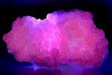 Superb Manganoan Calcite Crystal Cluster - Highly Fluorescent! #347655-1